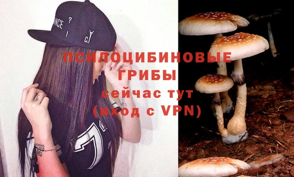COCAINE Богородицк