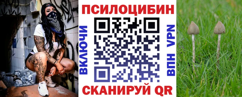 где продают наркотики  это телеграм  Псилоцибиновые грибы Magic Shrooms  Кирсанов 